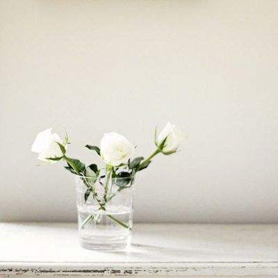 郎平将祭出纯奥运阵容战强敌！期待不逊李盈莹的她已提前离队